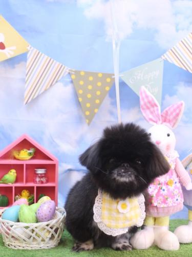 20240302つきみちゃん